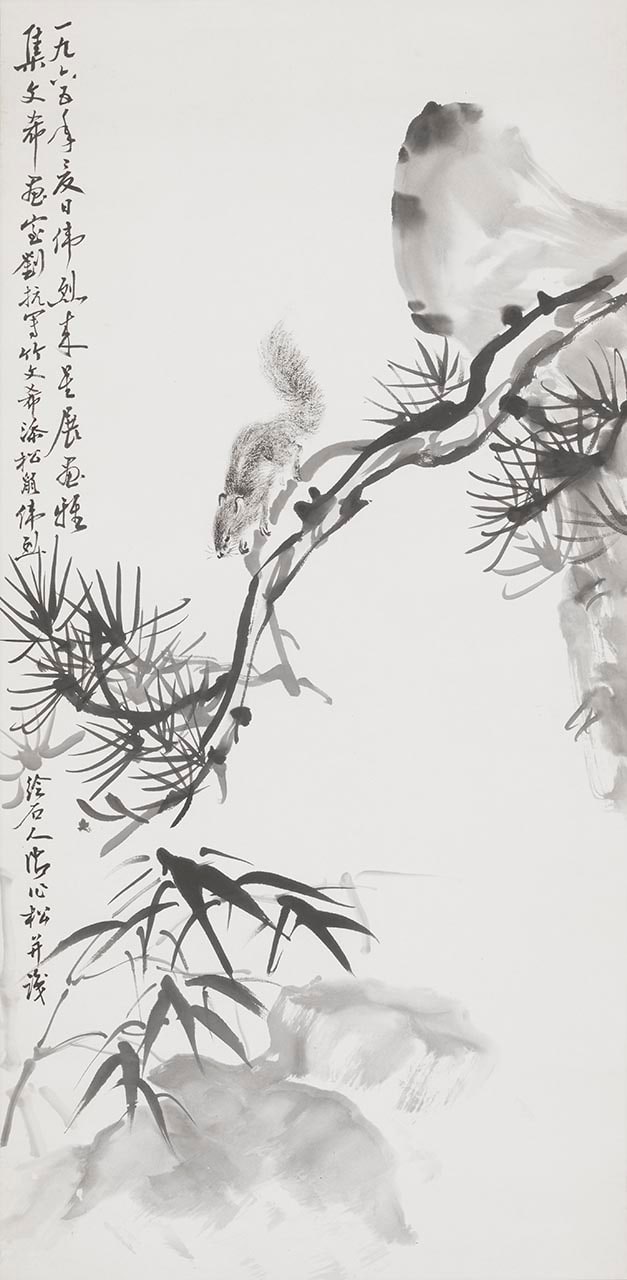 Squirrel with Pine Tree and Rocks