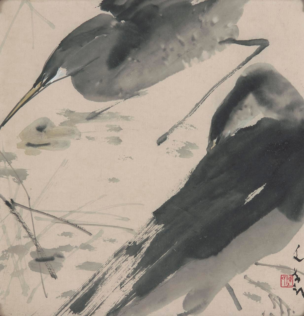 Herons