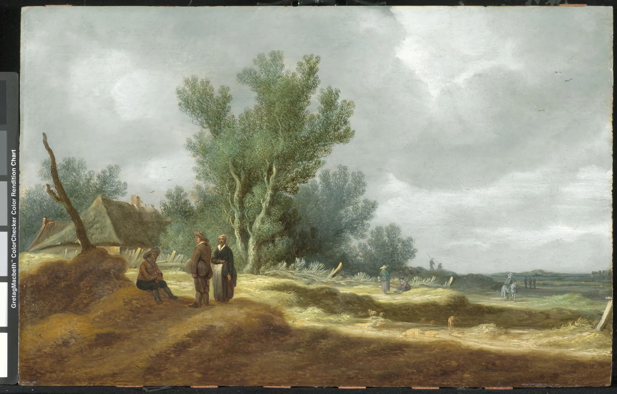 Dune Landscape