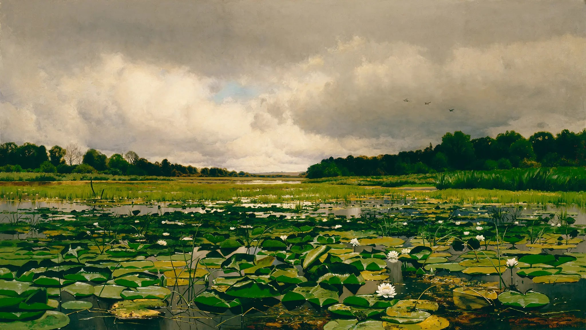 The Lily Pond