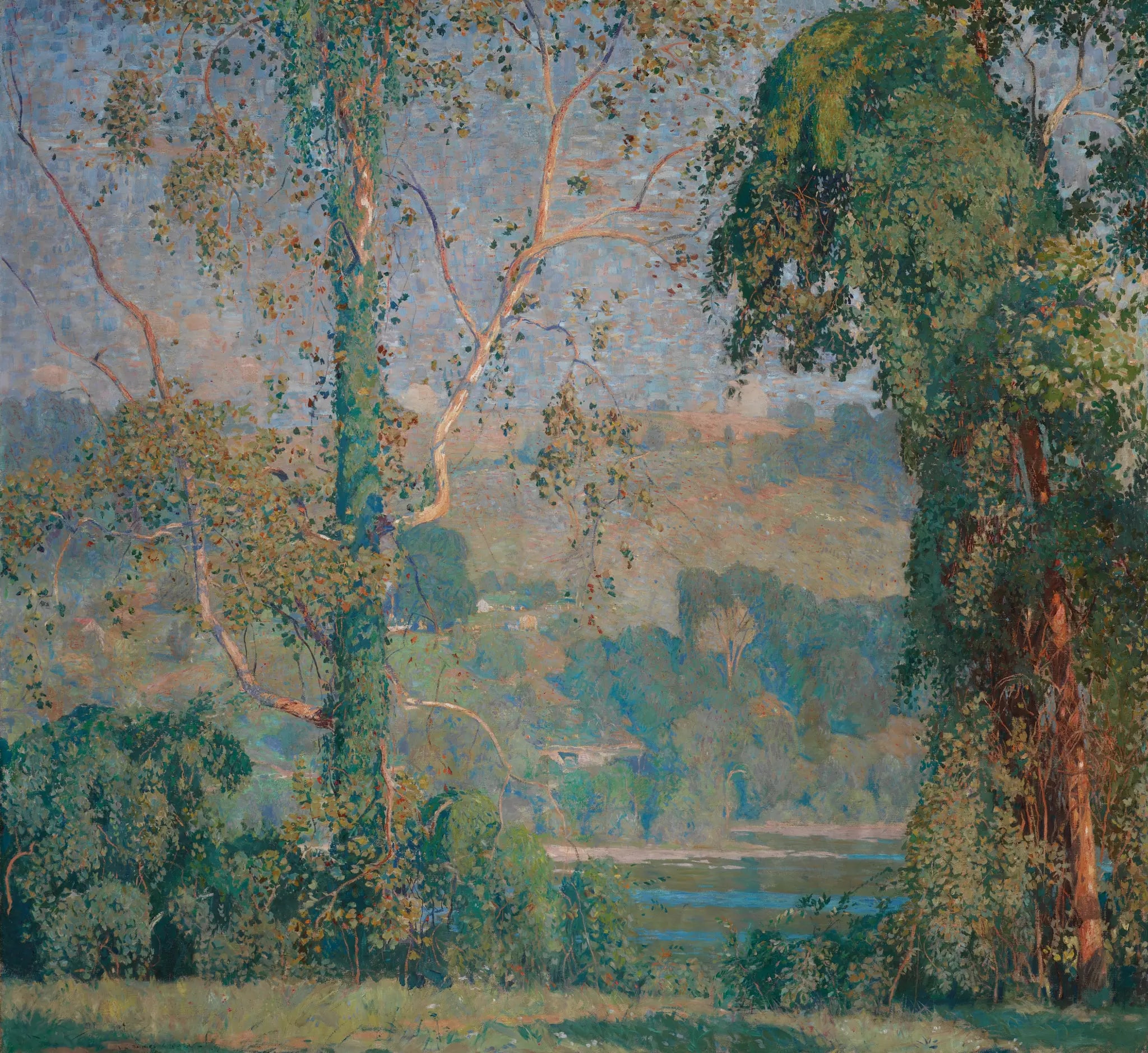 Vineclad Trees