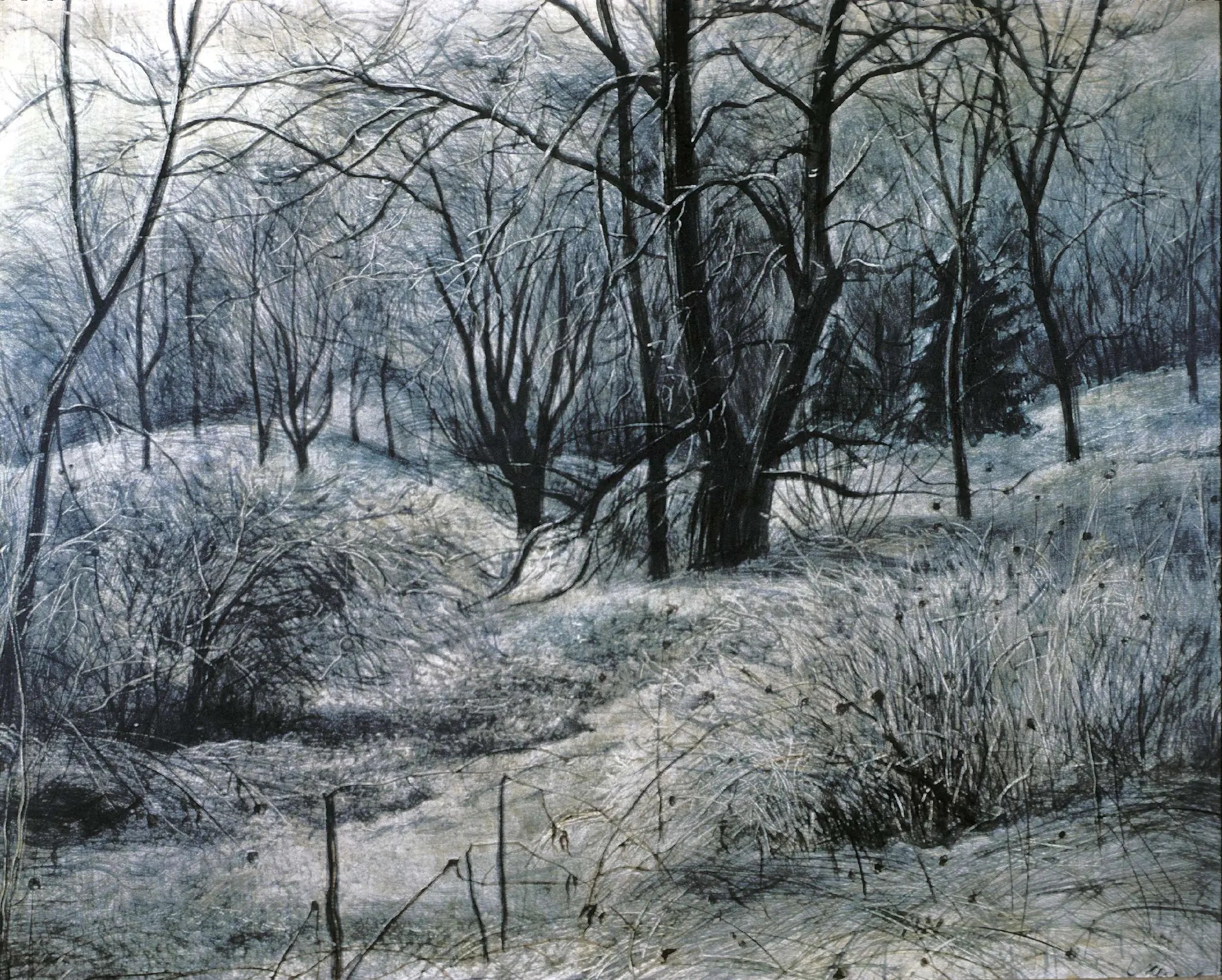 Winter Blue