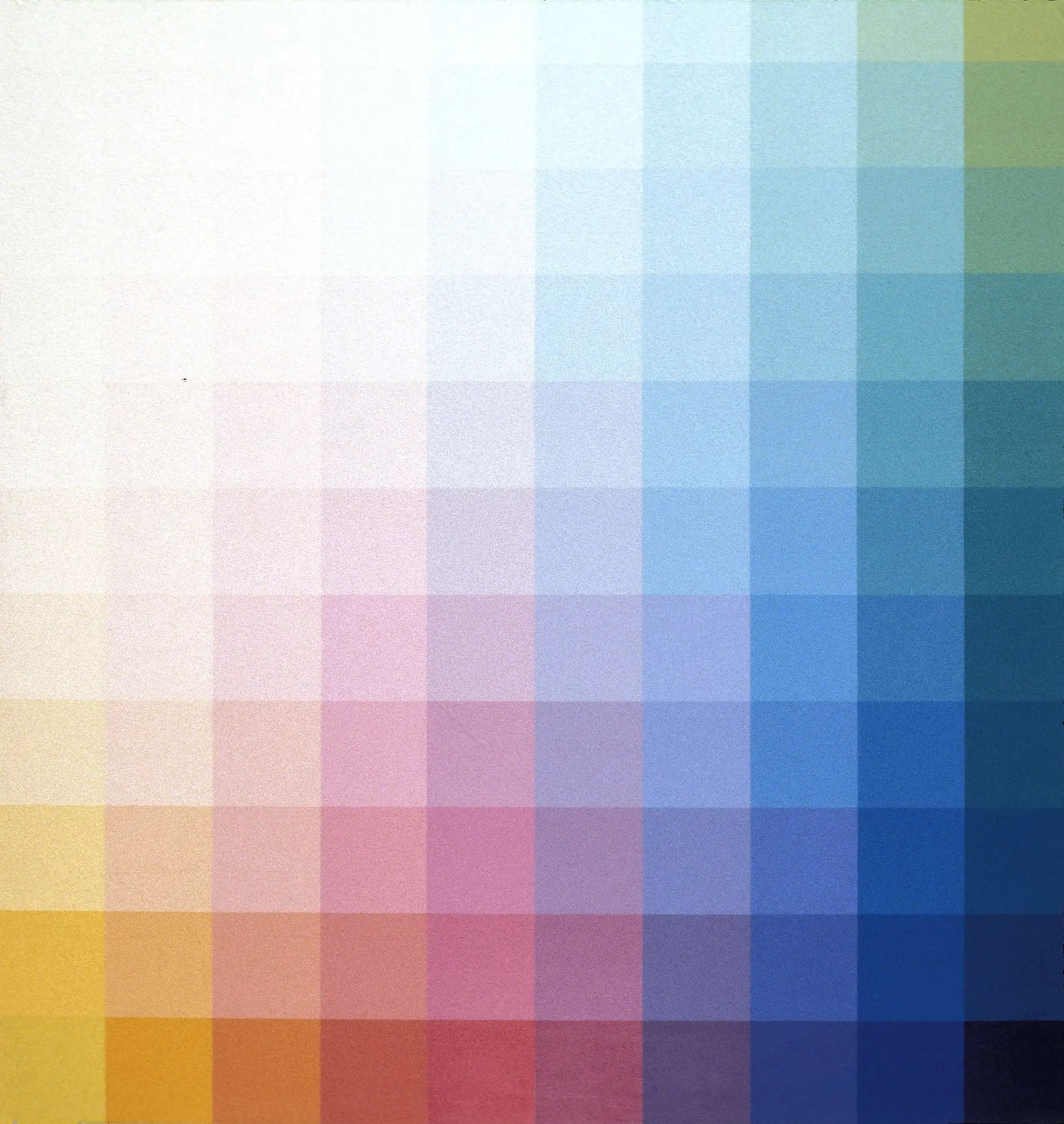 Gregg's Yellow