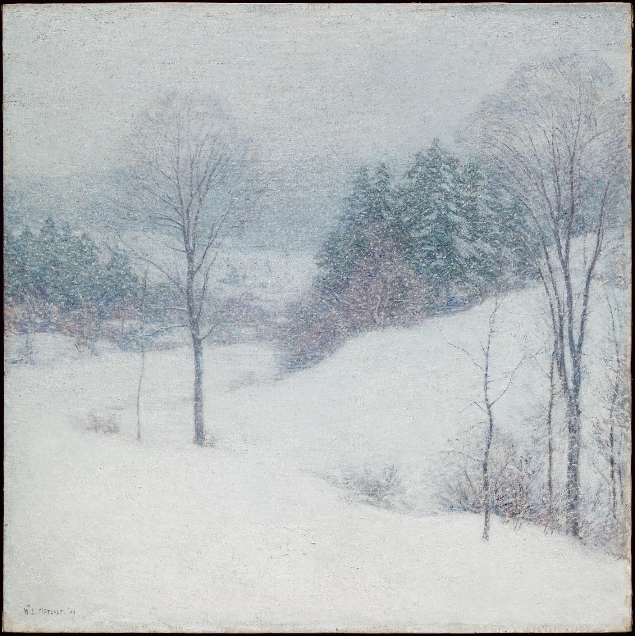 The White Veil