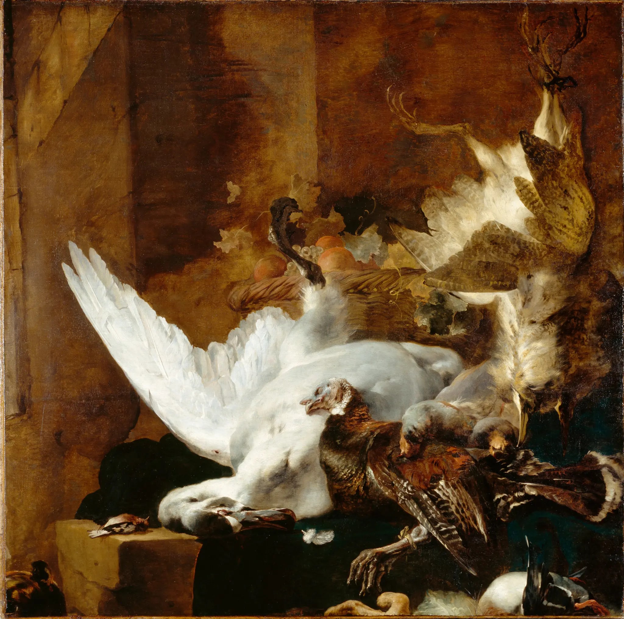 Still Life with a Dead Swan