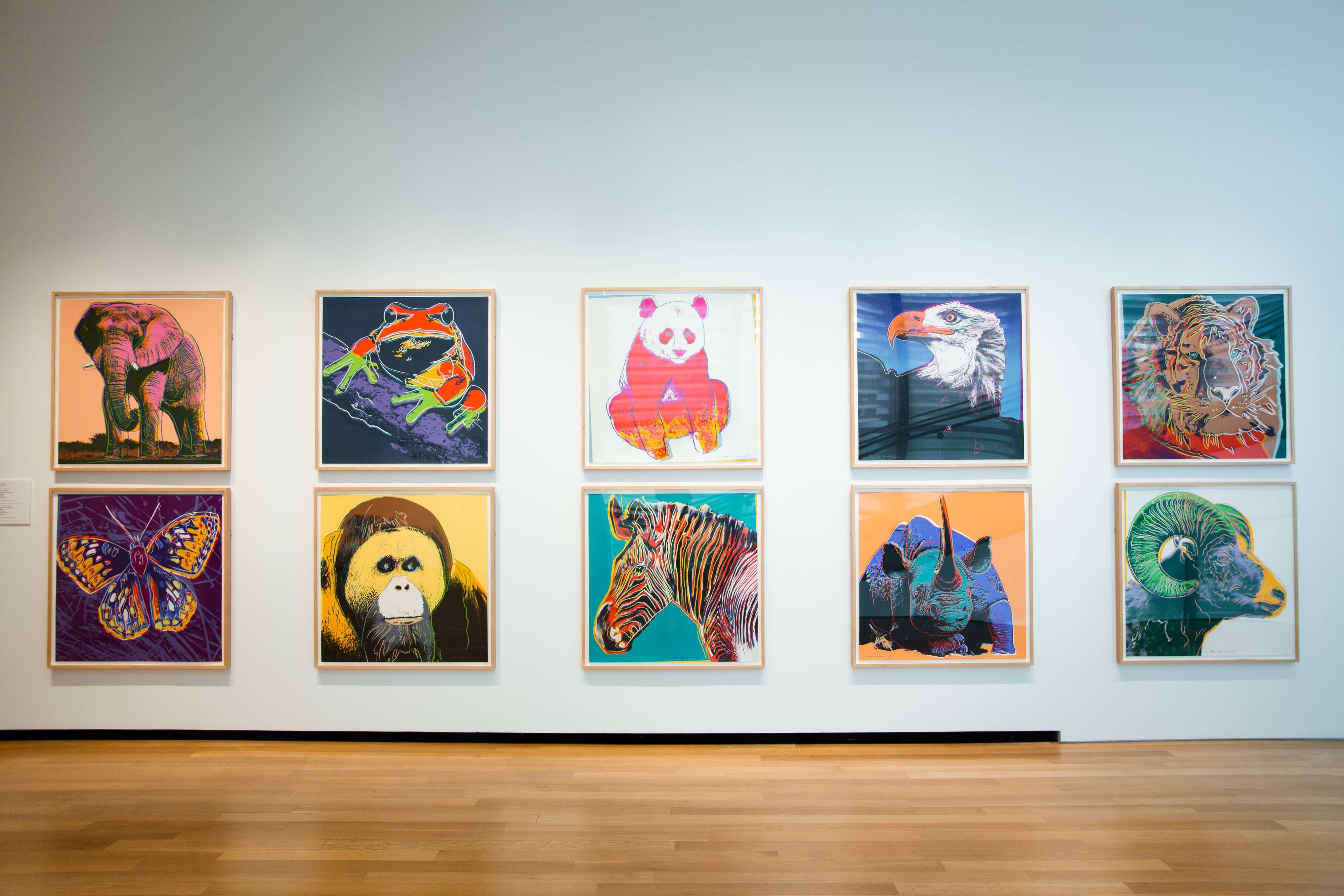 Endangered Species Portfolio - Andy Warhol