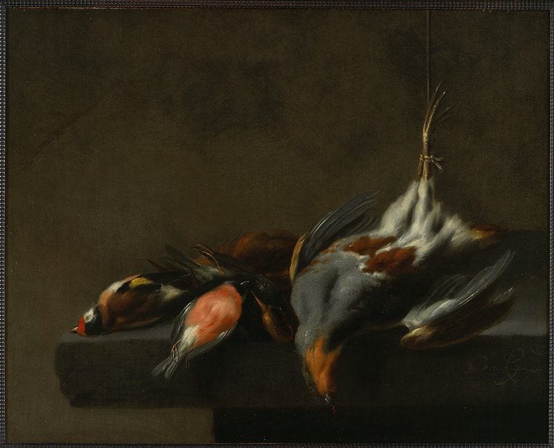 Still Life of Dead Birds