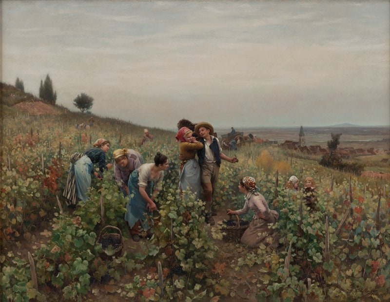 La Vendange