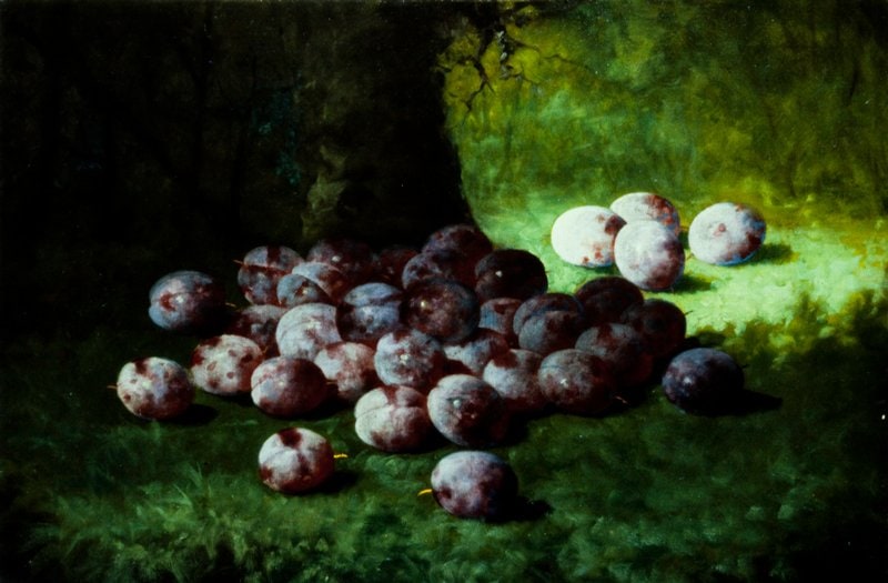 Plums
