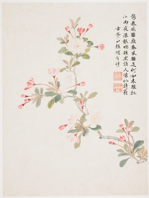 Crab-apple Blossom from a Flower Album of Ten Leaves
