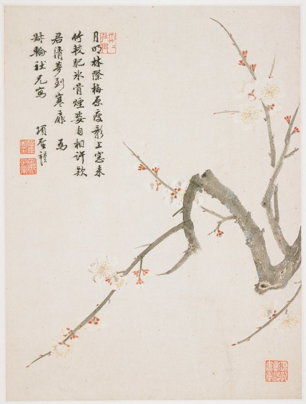 Blossoming plum from a Flower Album of Ten Leaves