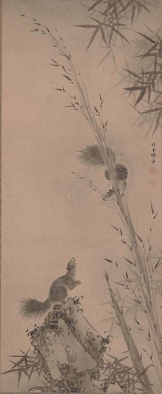 Bamboo and Squirrels