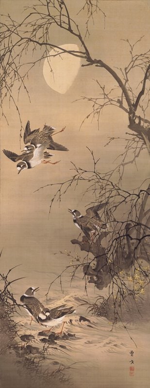 Plovers under the Moon