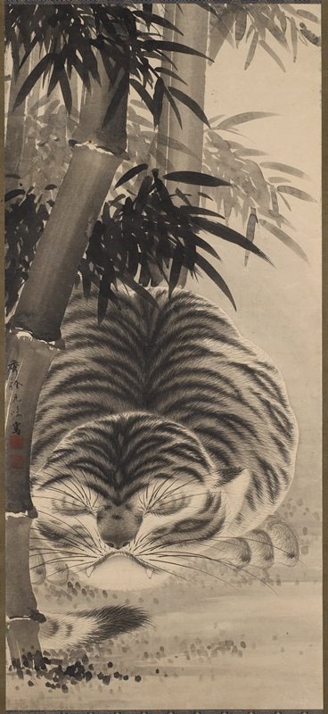 Sleeping Tiger in Bamboo