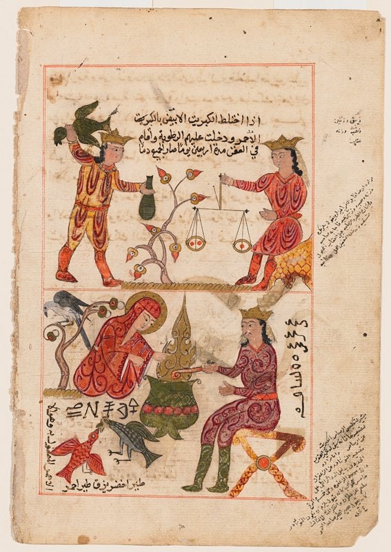 Page from a Scientific Treatise