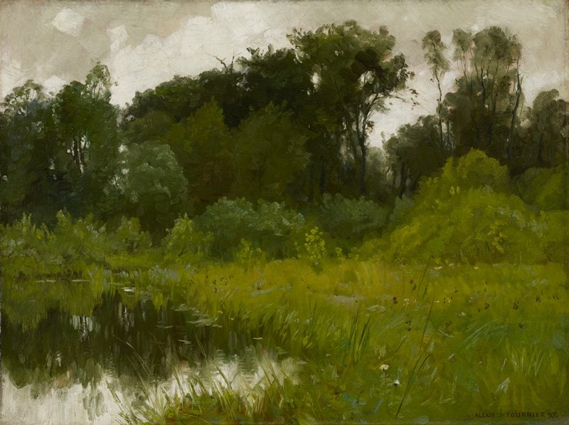 After Rain, on Minnehaha Creek