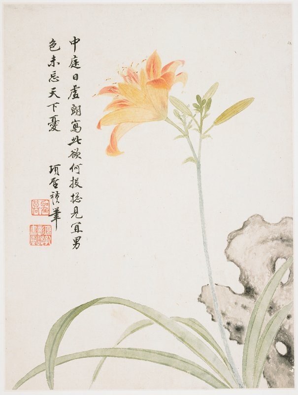 Day-Lily from a Flower Album of Ten Leaves