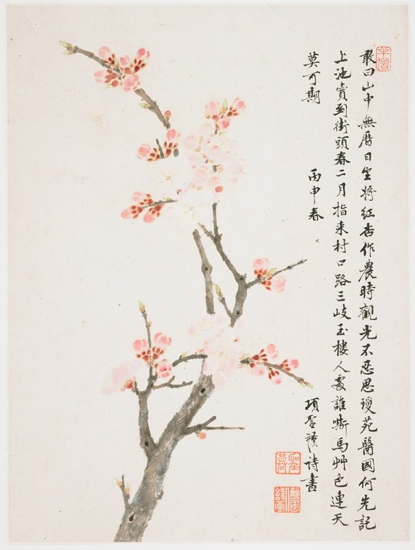 Album of Ten Leaves