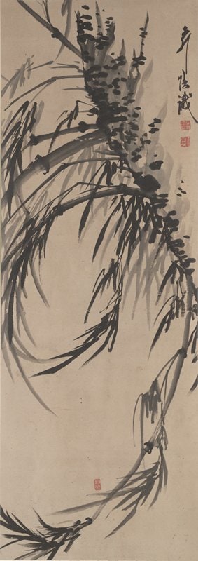 Bamboo