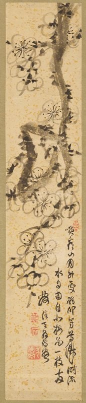 Plum Blossom Tanzaku