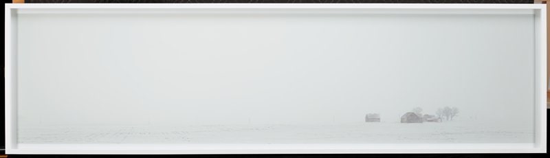 Untitled 15
