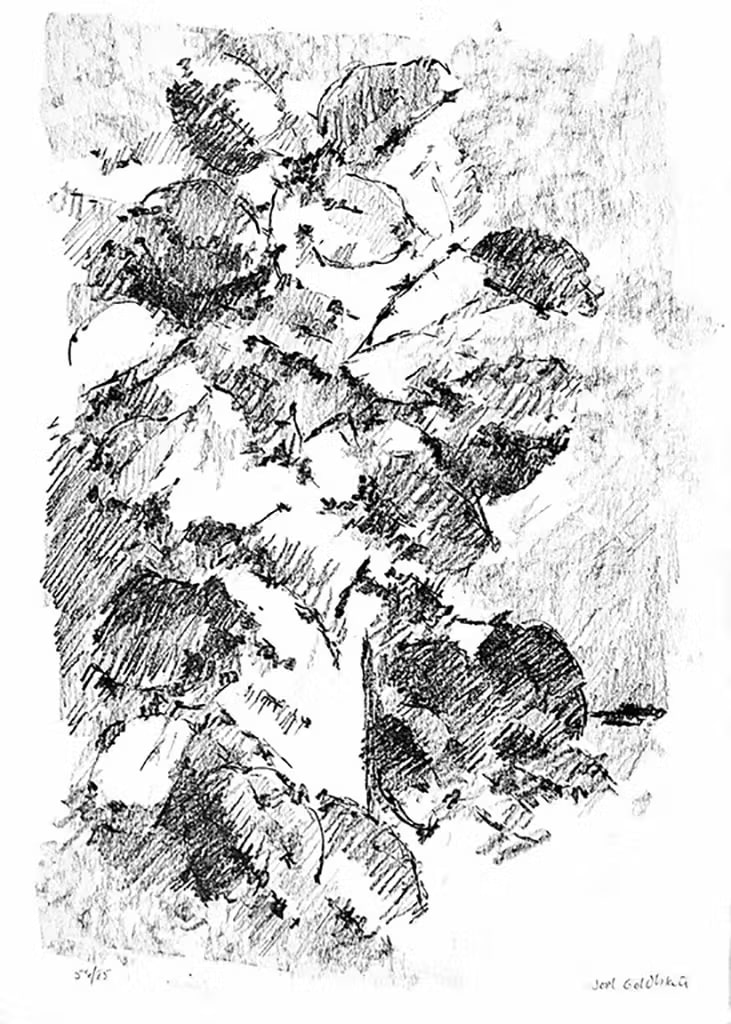 Dark Still Life