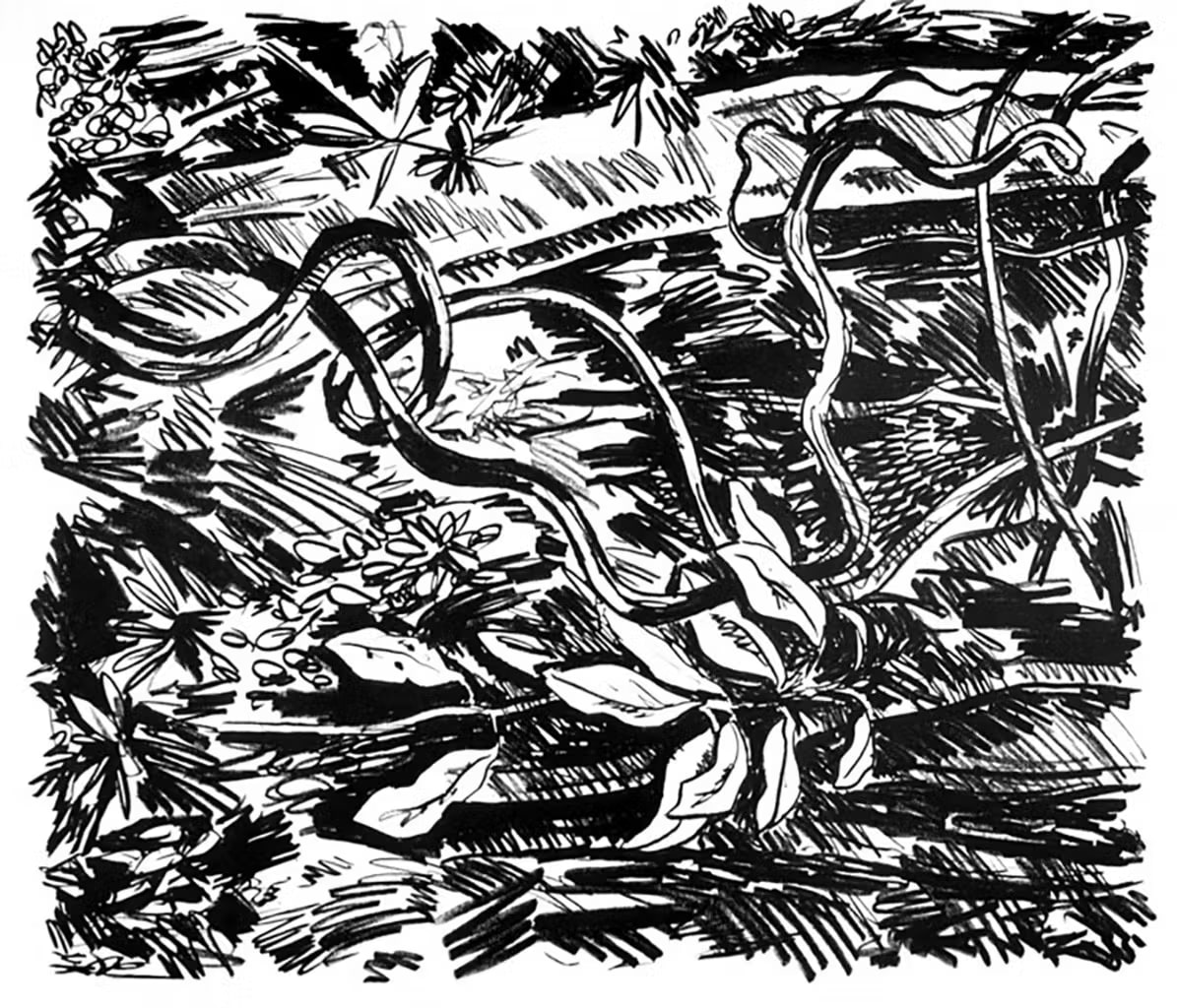 Jungle (Black)