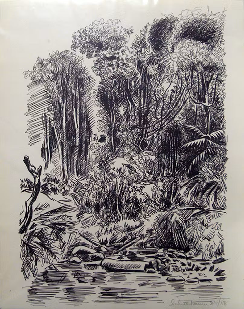 Jungle