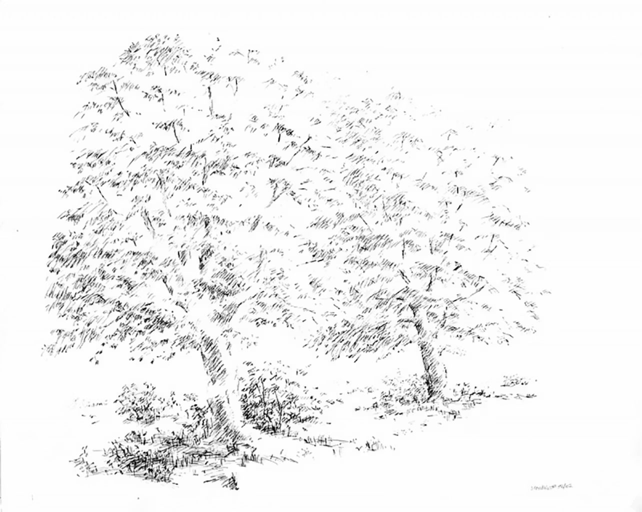 Two Trees