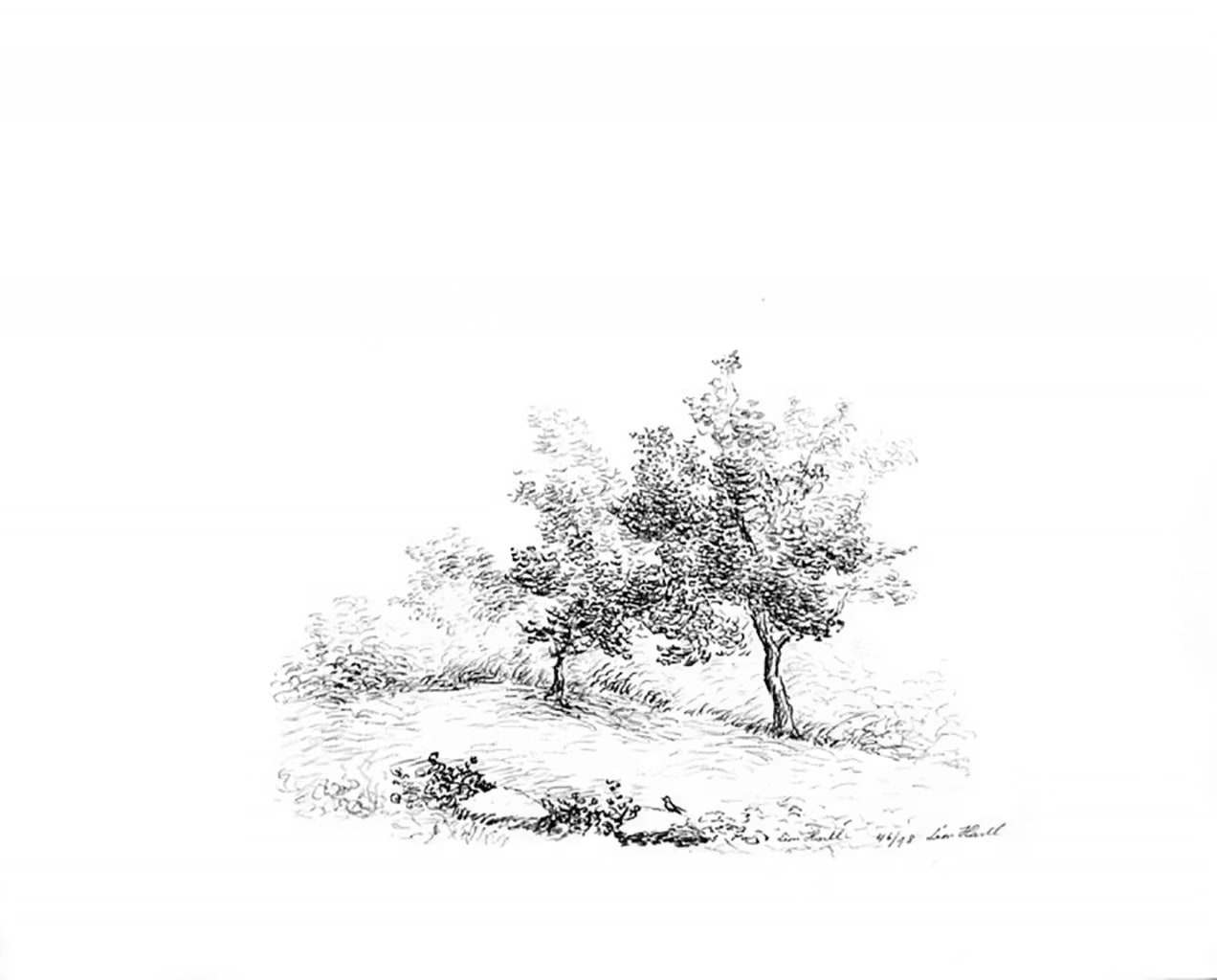Two Trees