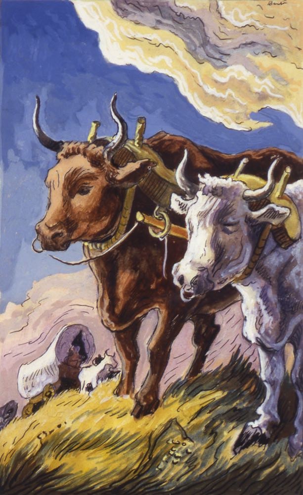 The Oxen