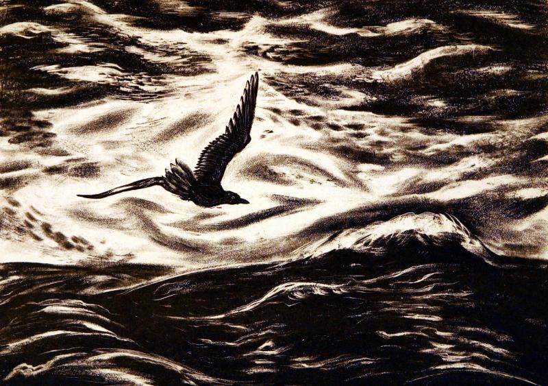 Flight