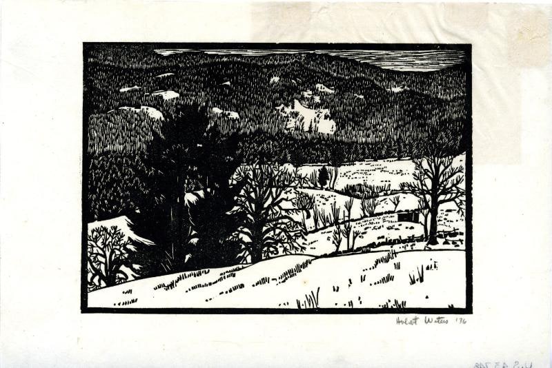 Winter Fields