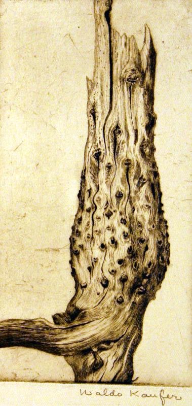 Wood Study