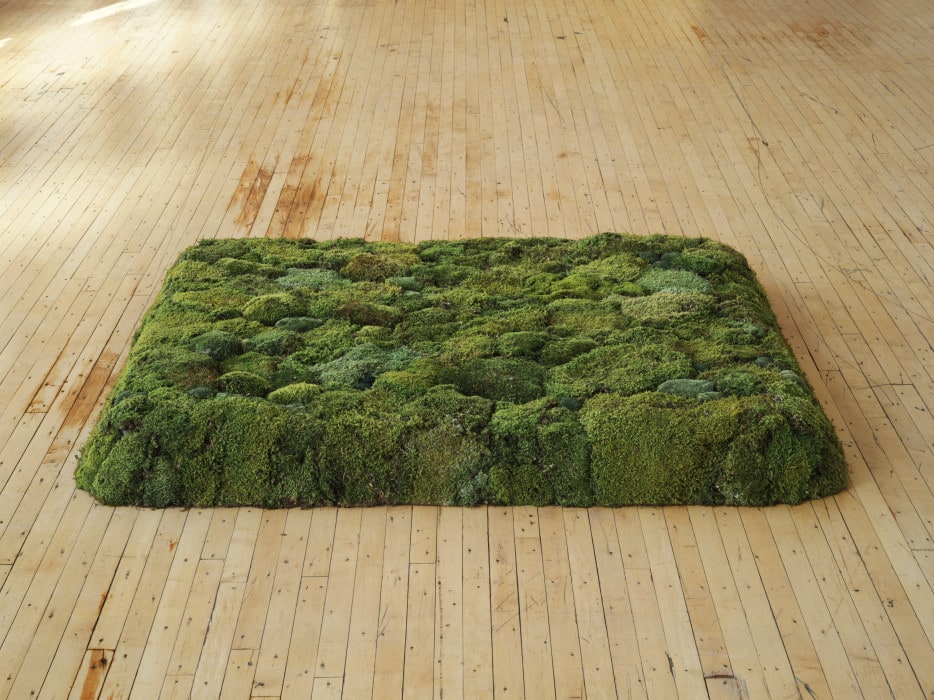 Moss Bed, King