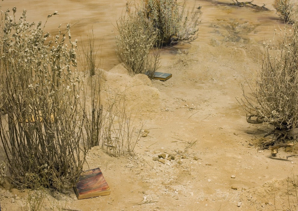 chronotypes & dioramas