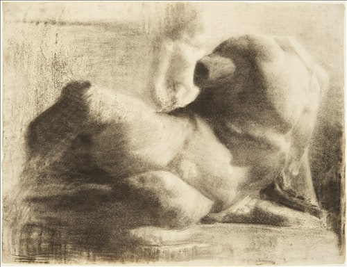 Cast Drawing: Reclining Torso