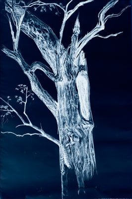 New Growth, from GELI (Gift Edition Long Island)