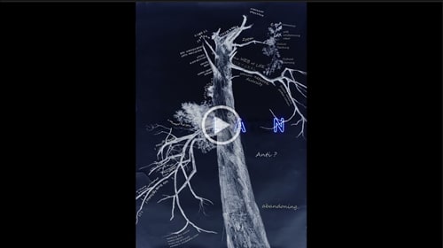 New Growth, from GELI (Gift Edition Long Island)