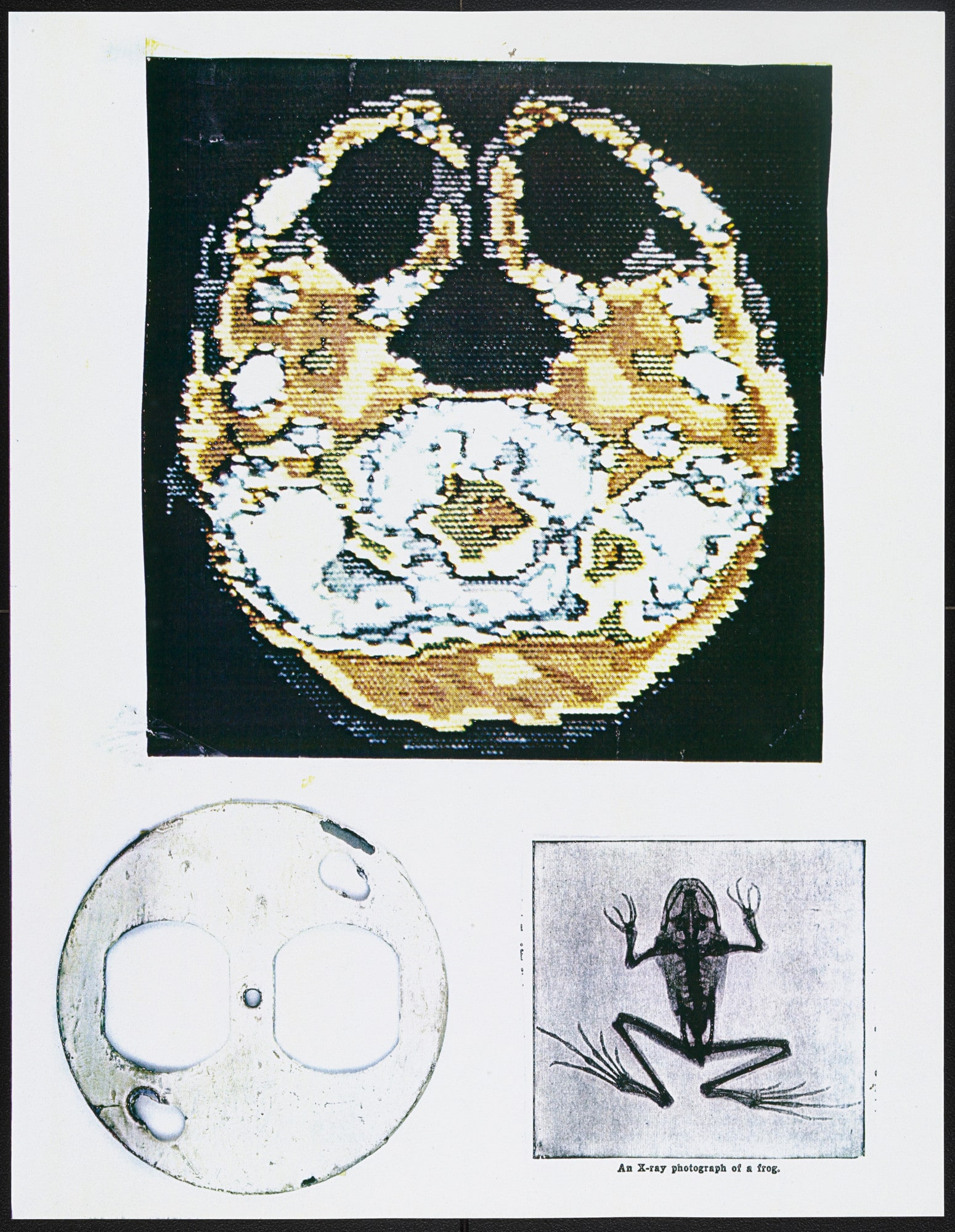 Untitled from Found Masks 1975–1978