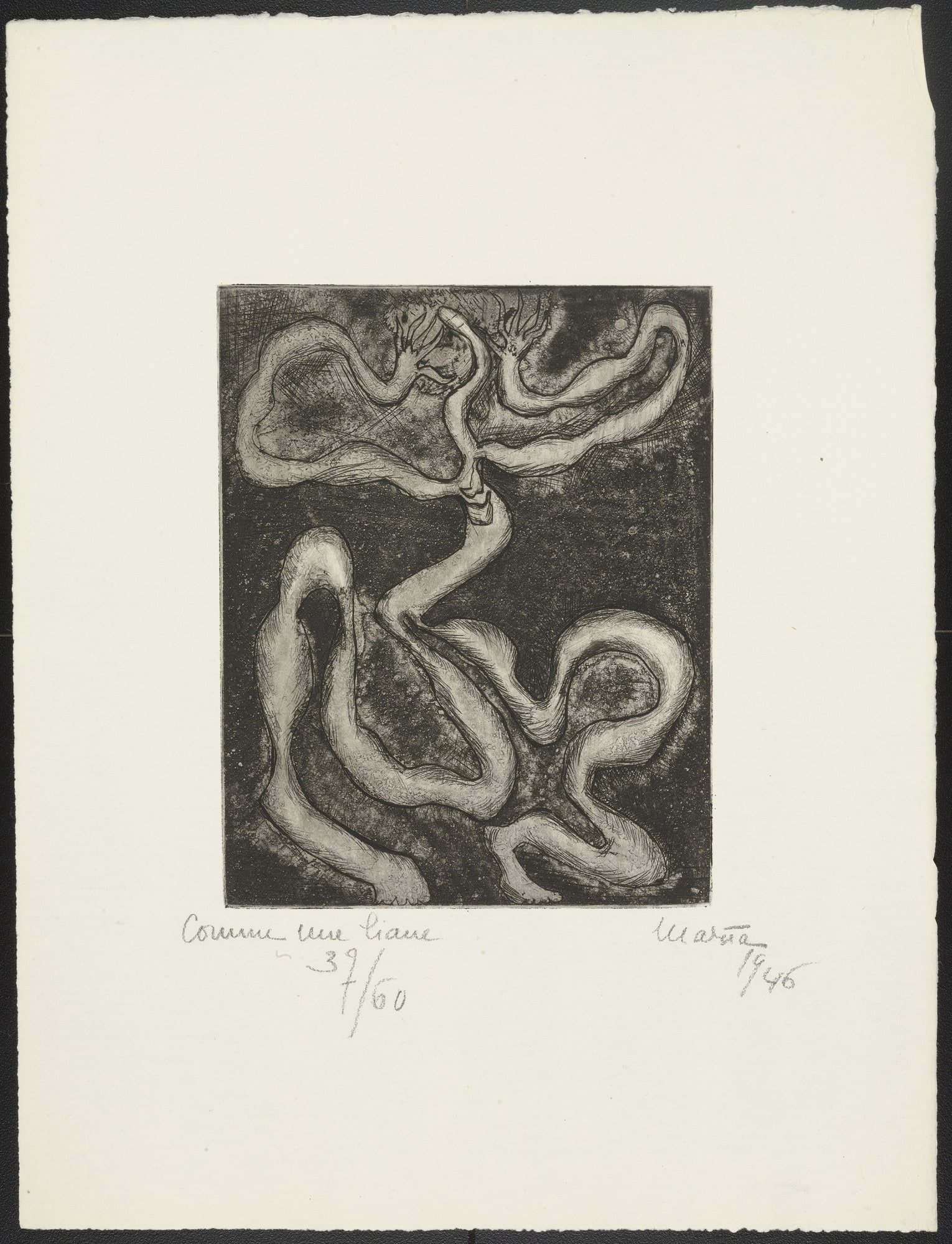 Like a Vine (Comme une liane) from Maria 1946
