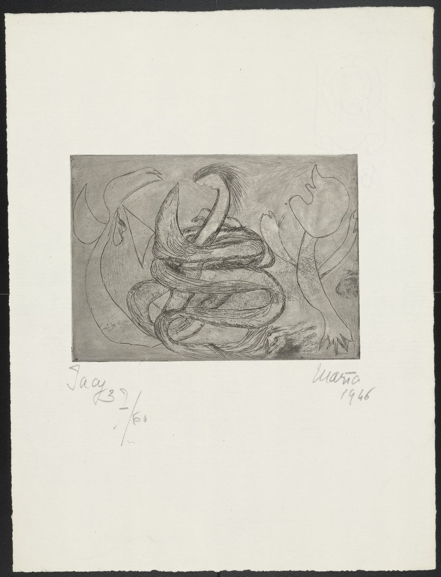 Iacy from Maria 1946