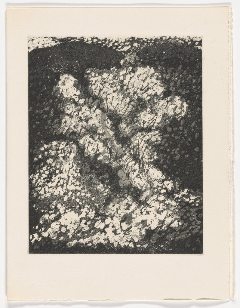 Untitled plate (page 25) from Sol de la Montagne