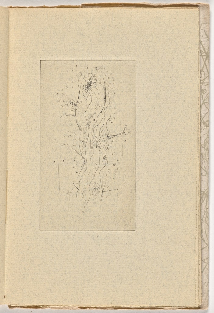 Plate (page 19) from Le Berger d'Écosse, Les Passagers, La Pierre philosophale (The Scottish Sheperd, The Passangers, The Philosopher's Stone)
