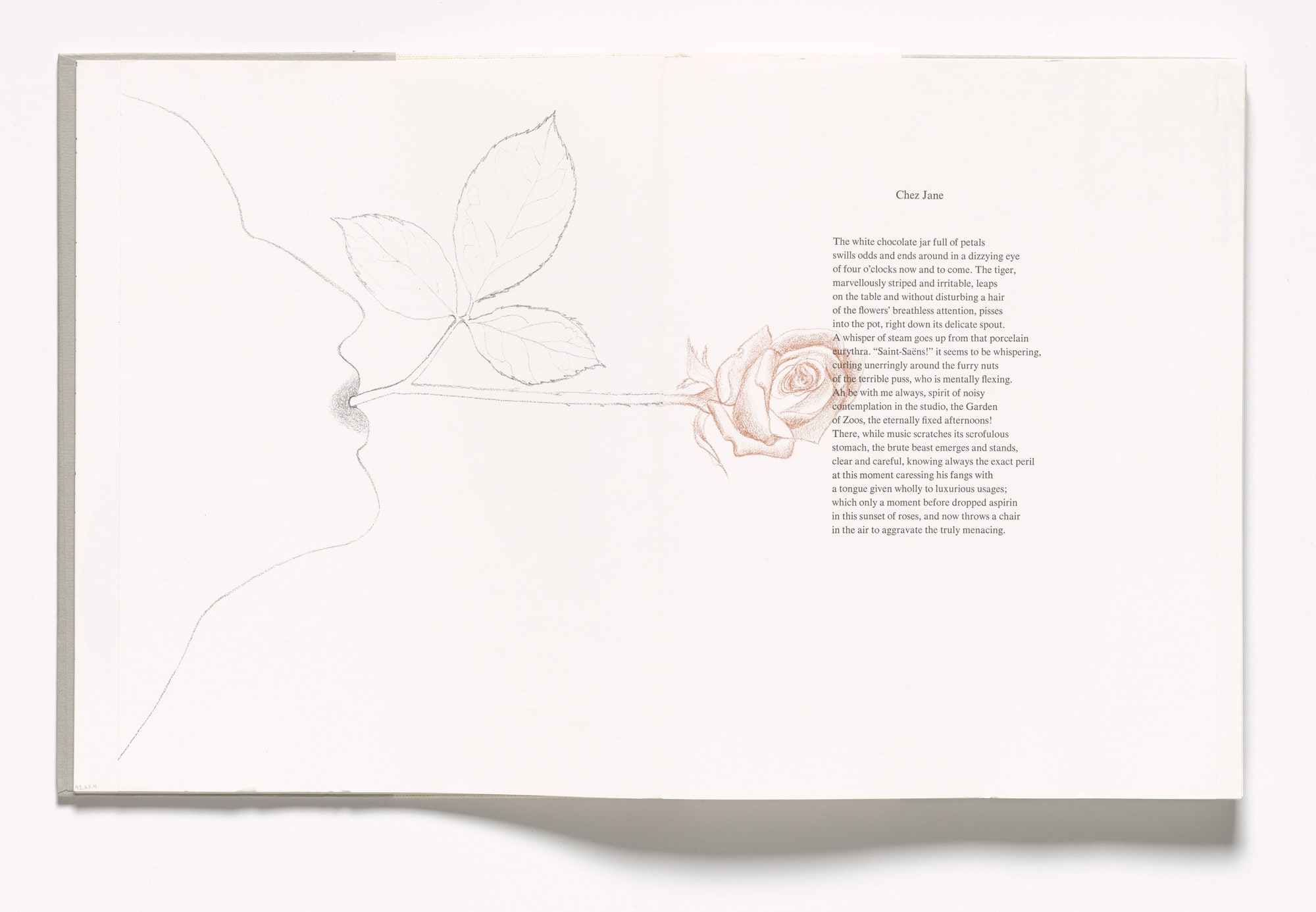 In-text plate (folios 15 verso and 16 recto) from In Memory of My Feelings