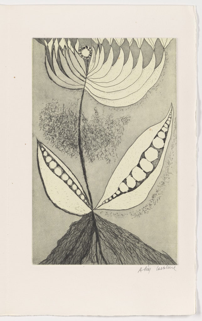Plate (page 13) from L'albero poeta