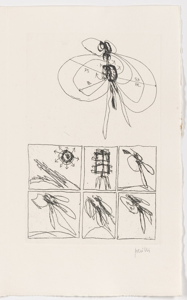 Plate (page 37) from L'albero poeta