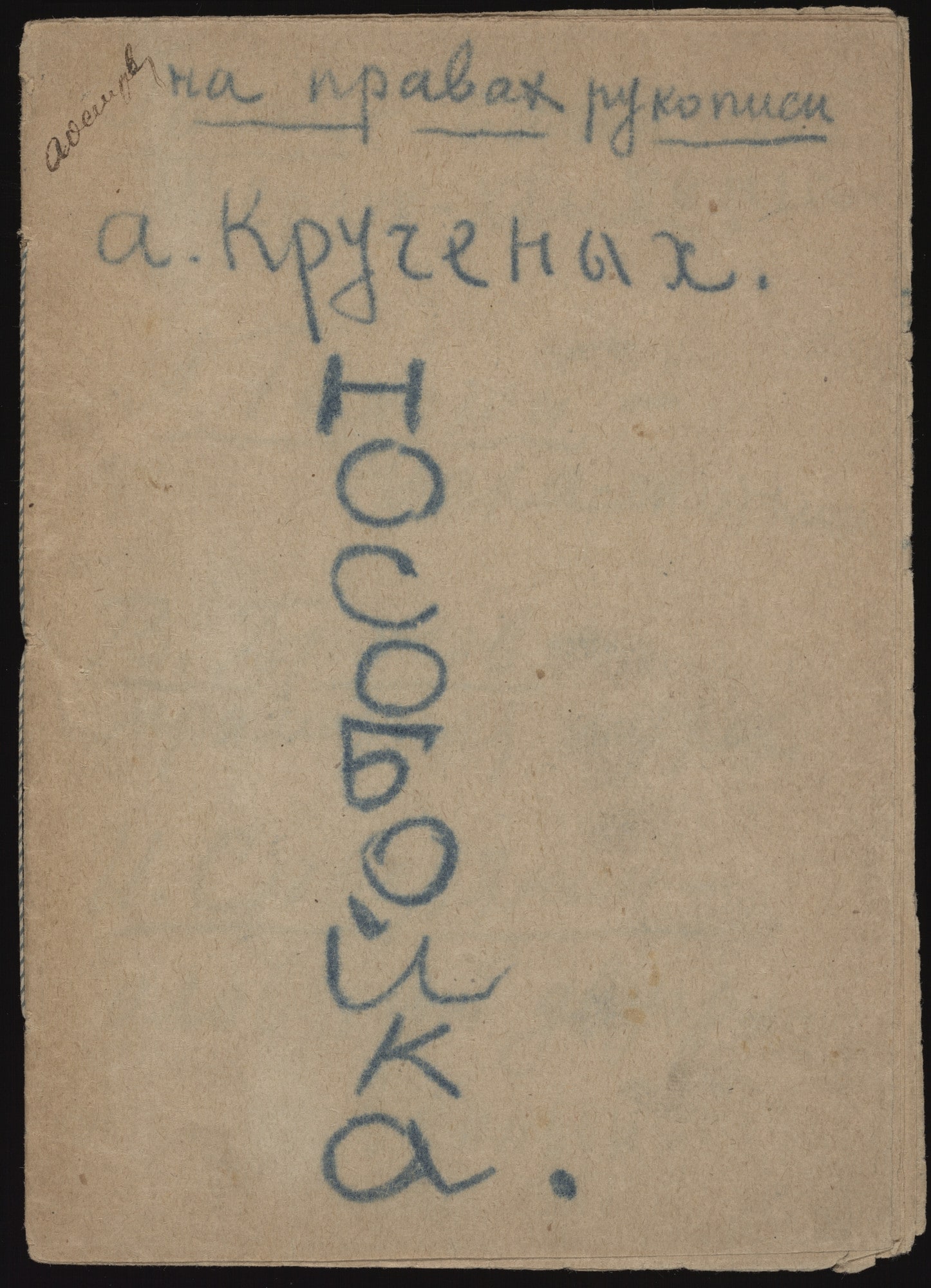 Nosoboika