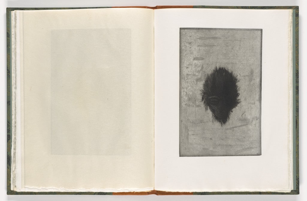 Plate (folio 34) from The Monkey