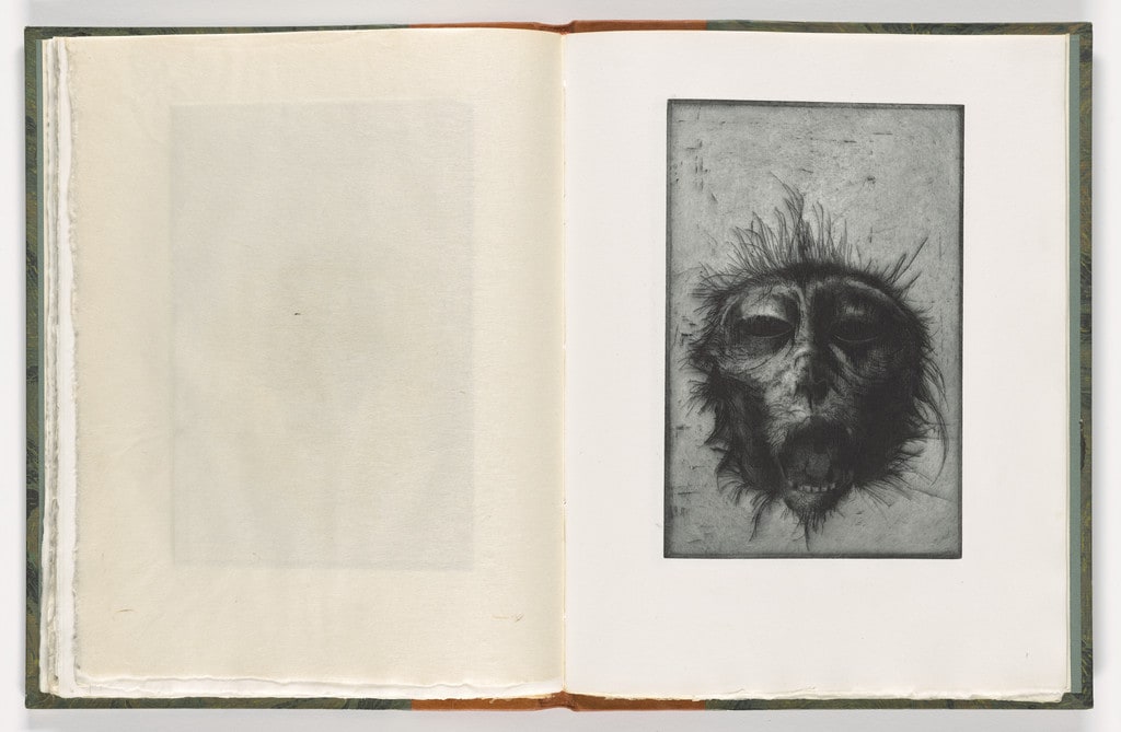 Plate (folio 36) from The Monkey